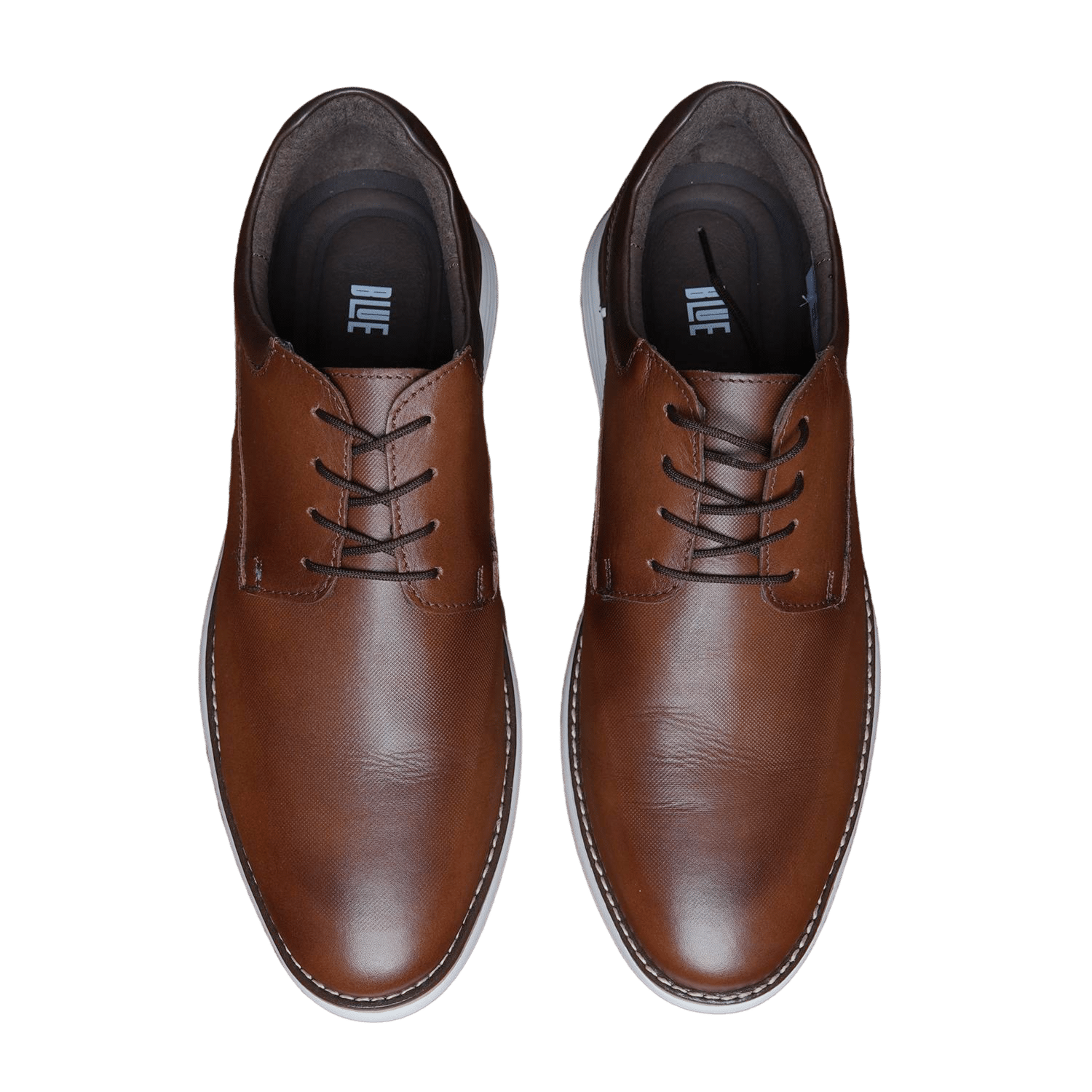 M Zap Casual Cordn Hbr Caf 37 Casual Con Cordón BLUE 37 - Imagen 2